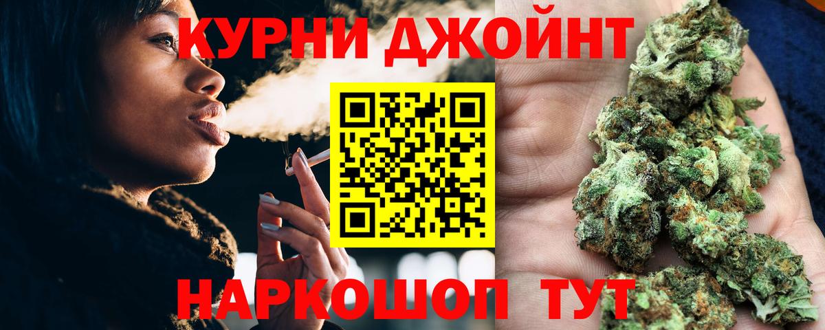 Канабис планчик Полысаево